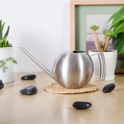 1000 Ml Vattenkanna I Rostfritt Stål Med Lång Pip För Kök,