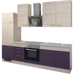 Kök FLEX WELL Focus Inkl. Vitvaror 270 Cm -Köksmaterial Försäljningsbutik DV 8 5769538 02 4c DE 20170623084723