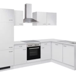 L-kök FLEX WELL Wito Inkl. Vitvaror 280x170 Cm 22 L-kök FLEX WELL Wito Inkl. Vitvaror 280x170 Cm -Köksmaterial Försäljningsbutik DV 8 6128986 03 4c DE 20170623112719