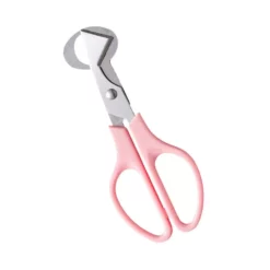 Quail Bird Egg Sax Rostfritt Stål Äggskalsskärare Kök Red One-size -Köksmaterial Försäljningsbutik HOM5818G W 3