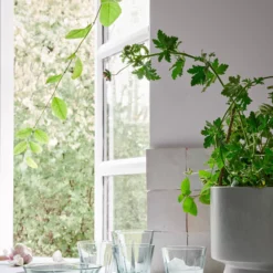 Kök & Hushåll Rosendahl Vattenglas GC 26 Cl 4 St. 7 Kök & Hushåll Rosendahl Vattenglas GC 26 Cl 4 St. -Köksmaterial Försäljningsbutik hom 1697682 01 De 01 scaled