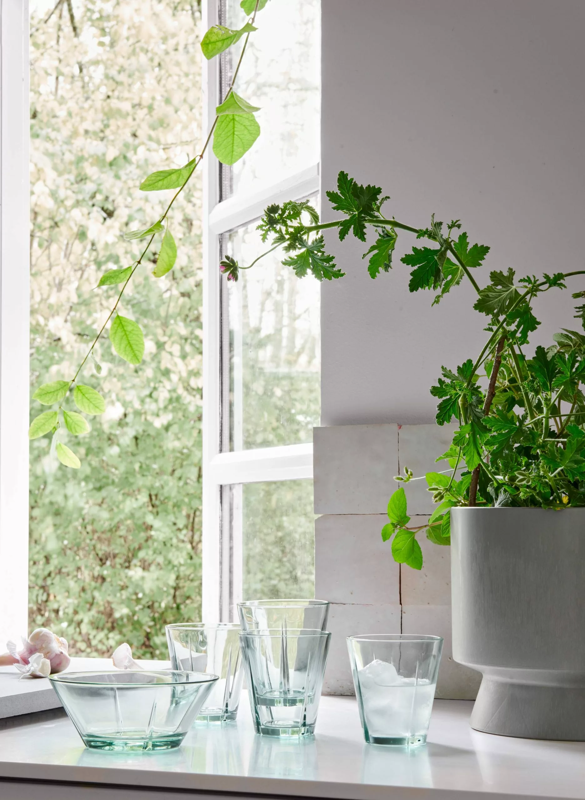 Kök & Hushåll Rosendahl Vattenglas GC 26 Cl 4 St. 5 Kök & Hushåll Rosendahl Vattenglas GC 26 Cl 4 St. - Bild 3